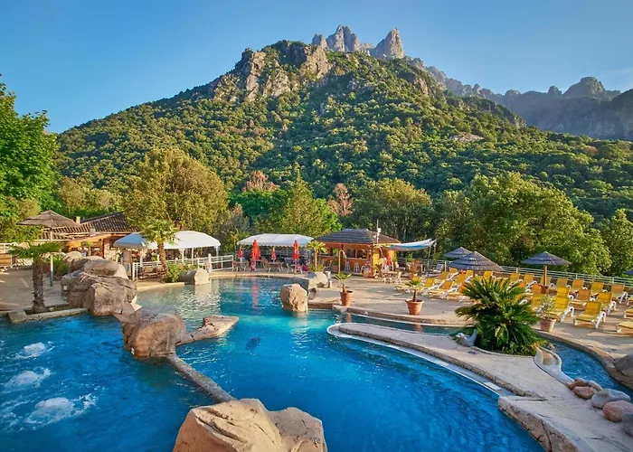 Hôtel accueillant les animaux: Camping Les Oliviers