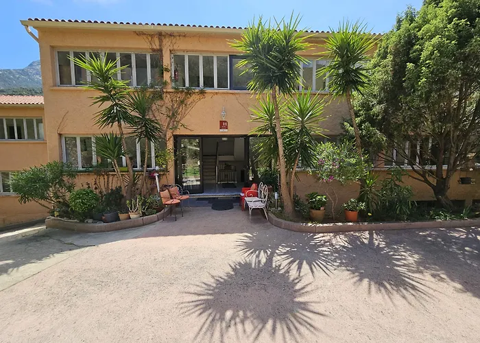 Hôtel accueillant les animaux: Le Marina