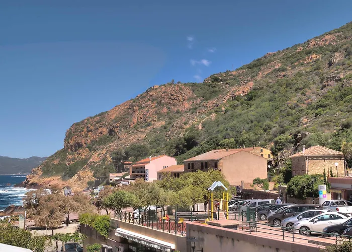 Hôtel accueillant les animaux: Brise de Mer